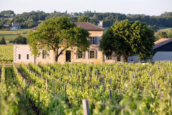 Saint Emilion Half-Day Trip with Wine Tasting & Winery Visit from Bordeaux - Price and value: is $133.02 a fair deal?