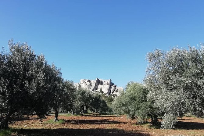 Saint Remy, Les Baux and Pont du Gard Small Group Half-Day Trip - How the Guide Turns Driving Time Into Useful Provence Context