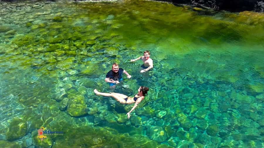 Sal island: Secrets of a Native Guide Day trip with Lunch - Shark Bay Lemon Sharks: What to Bring and How Weather Changes the Day