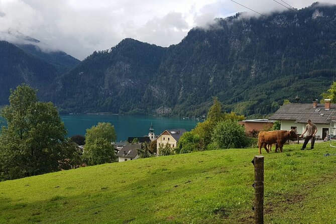 Salzburg: Small-Group Day Trip from Vienna - Your free time in Salzburg: how to use 2.5 hours well