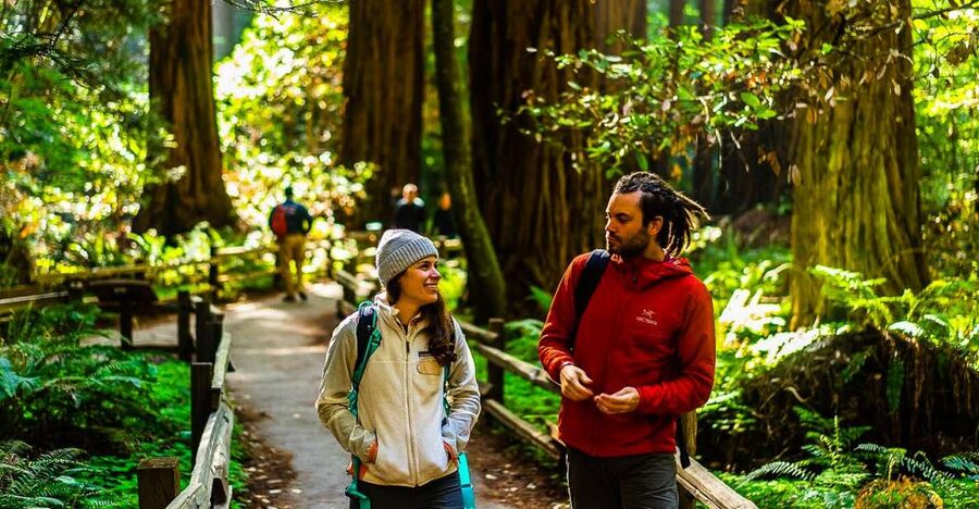 San Francisco: Muir Woods and Sausalito Half-Day Trip - Walking the redwood grove: your 1.5 hours inside a living museum