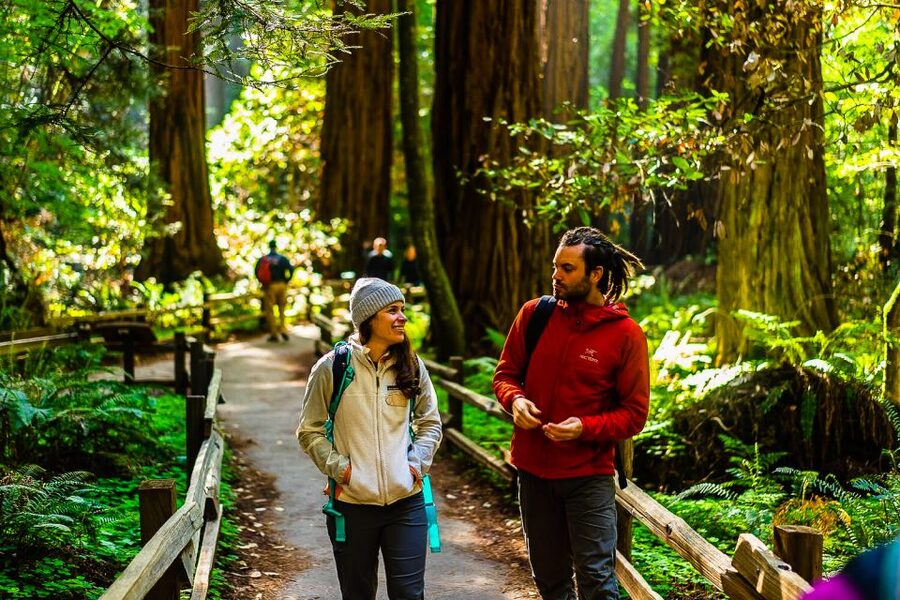 San Francisco: Muir Woods and Sausalito Half-Day Trip - Getting to Sausalito: the quick ride that sets up the afternoon