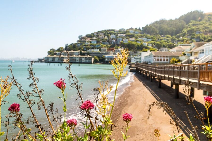 San Francisco: Muir Woods and Sausalito Half-Day Trip - Price and value: is $95 per person actually fair?
