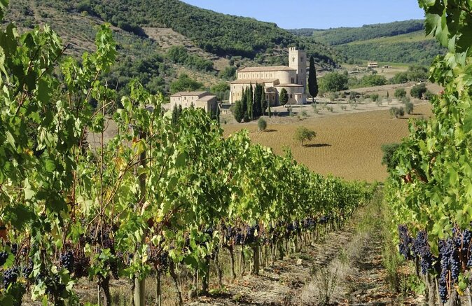 San Gimignano, Chianti, and Montalcino Day Trip from Siena - Key things worth knowing before you go