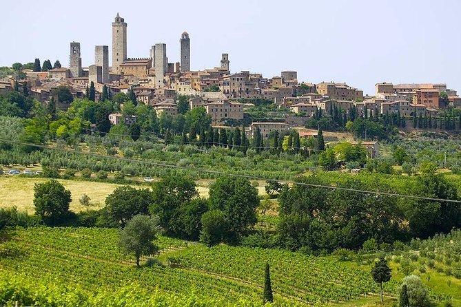 San Gimignano, Chianti, and Montalcino Day Trip from Siena - The Duomo, Piazza della Cisterna, and Palazzo Pubblico Time-Savers