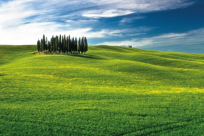 San Gimignano, Chianti, and Montalcino Day Trip from Siena - Chianti Winery Lunch and Wine Tasting: What’s Included