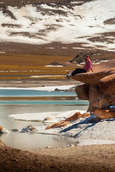 San Pedro de Atacama: Red Rocks & Altiplano Lagoons Day Trip - Chaxa Lagoon: where the flamingos are the main character