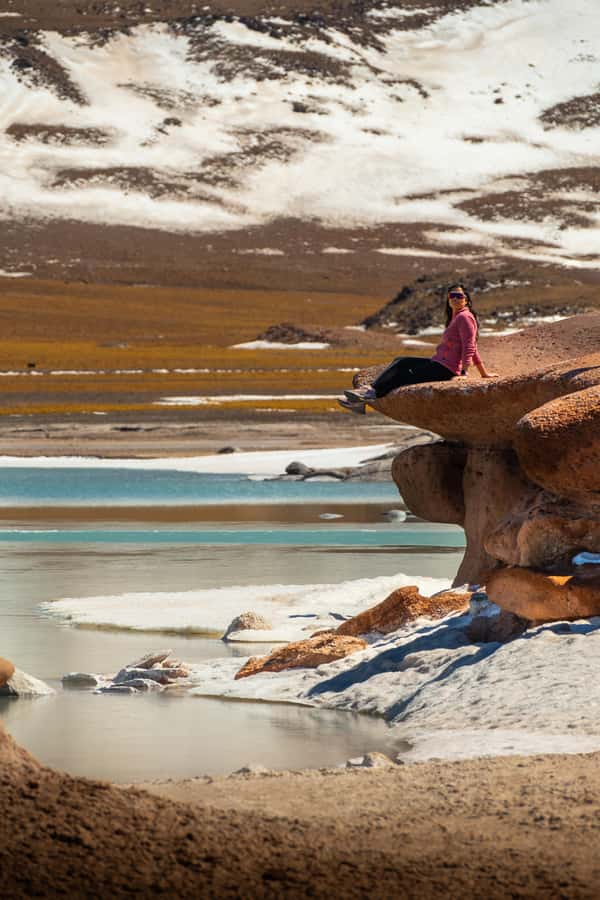 San Pedro de Atacama: Red Rocks & Altiplano Lagoons Day Trip - Chaxa Lagoon: where the flamingos are the main character