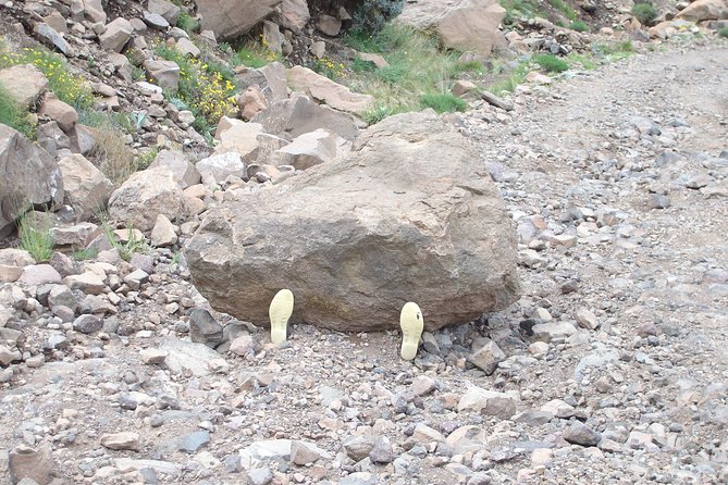 Sani Pass and Lesotho Day Tour from Underberg - Basotho Village Visit at Skeering: Culture You Can See, Not Just Hear