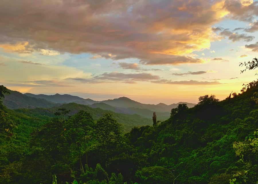 Santa Marta: Minca Coffee, Cocoa, & Waterfall Full-Day Trip - Cocoa Workshop: Make Your Own Chocolate Bar