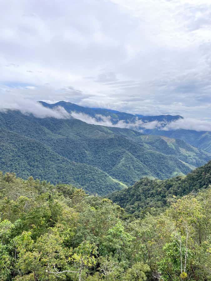 Santa Marta: Minca Coffee, Cocoa, & Waterfall Full-Day Trip - Hiking Tempo and What to Expect on the Trail