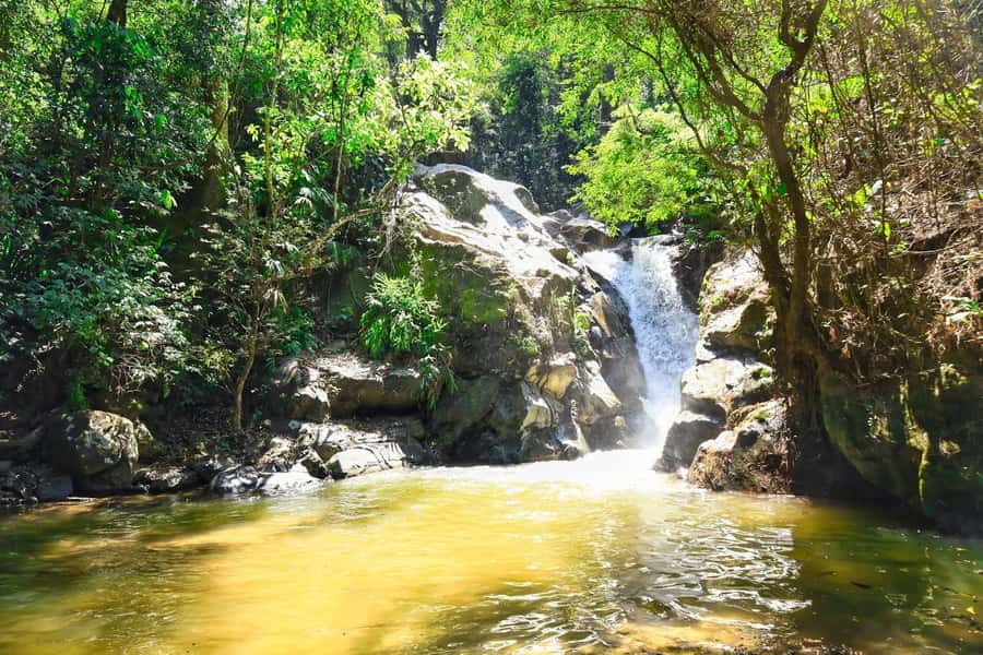 Santa Marta: Minca Coffee, Cocoa, & Waterfall Full-Day Trip - Price and Value: What $78 Covers (and Why It Adds Up)