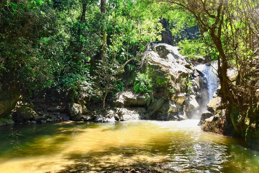 Santa Marta: Minca Coffee, Cocoa, & Waterfall Full-Day Trip - Who This Trip Suits Best