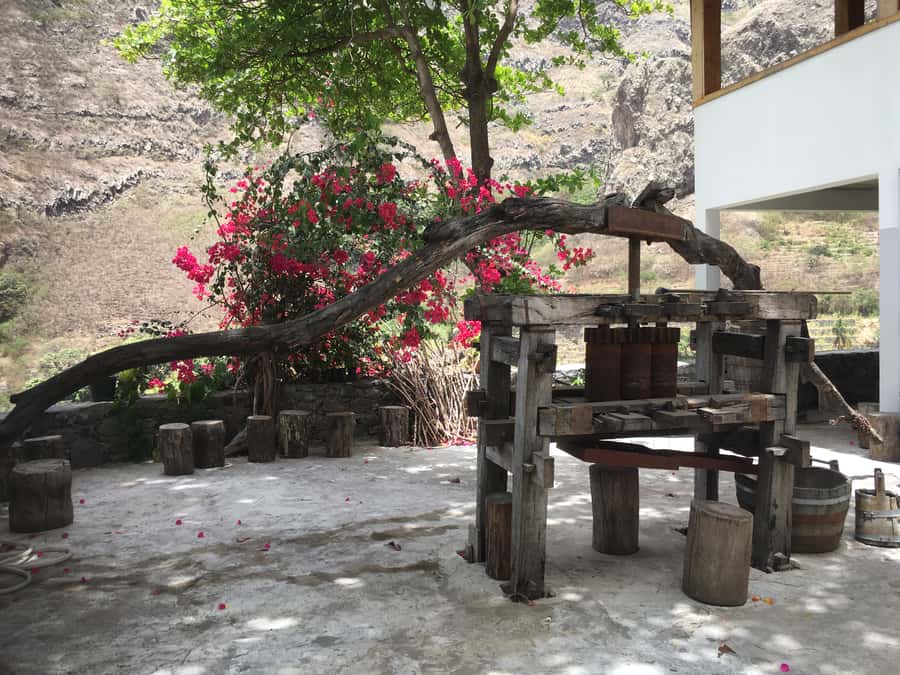 Santo Antão Highlights: Day Trip by Car with Ferry from SV - Grogue Distillery Stop: Why the Liquor Part Works