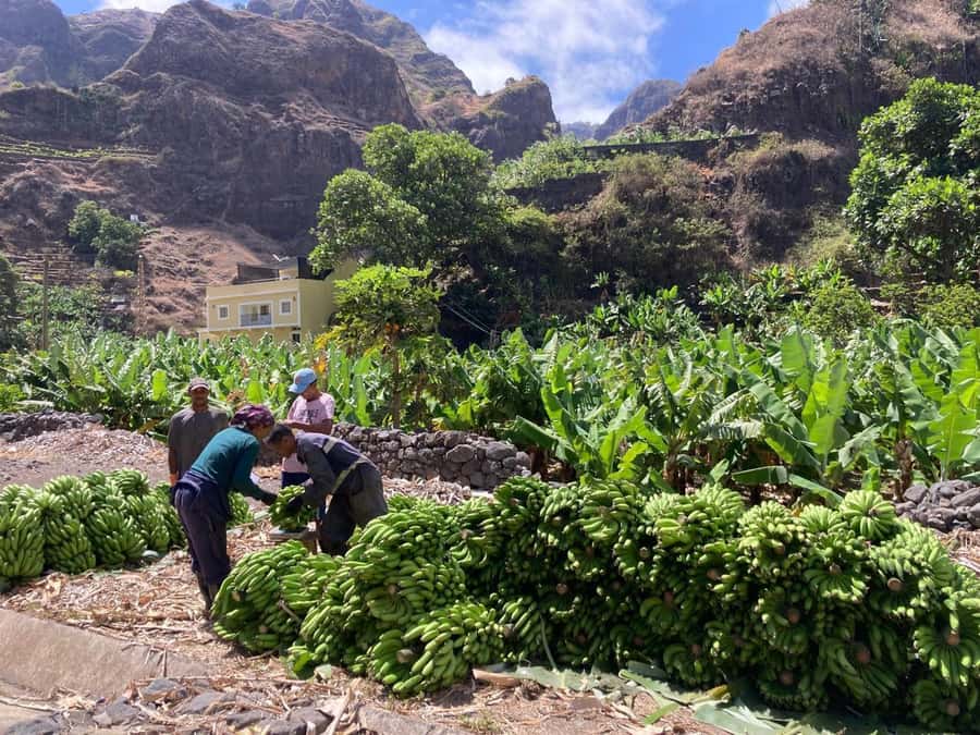 Santo Antão Highlights: Day Trip by Car with Ferry from SV - Porto Novo Meet-Up and the Real Rhythm of the Island Day