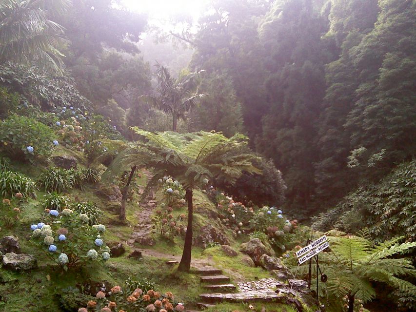 São Miguel: Nordeste, Cliffs & Waterfall Day Trip with Lunch - Key things I’d focus on before you go
