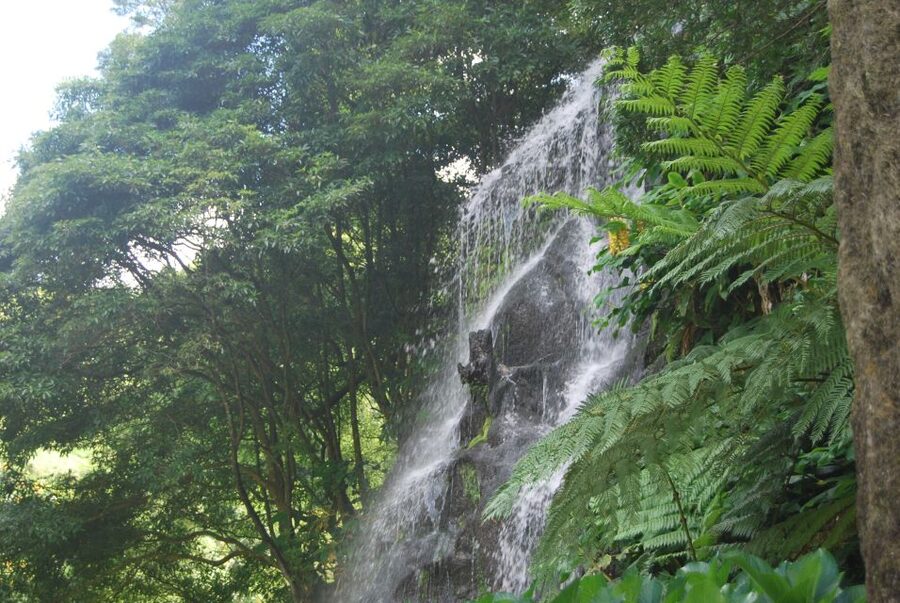 São Miguel: Nordeste, Cliffs & Waterfall Day Trip with Lunch - Coroa da Mata and Salto da Farinha: your first taste of the north coast