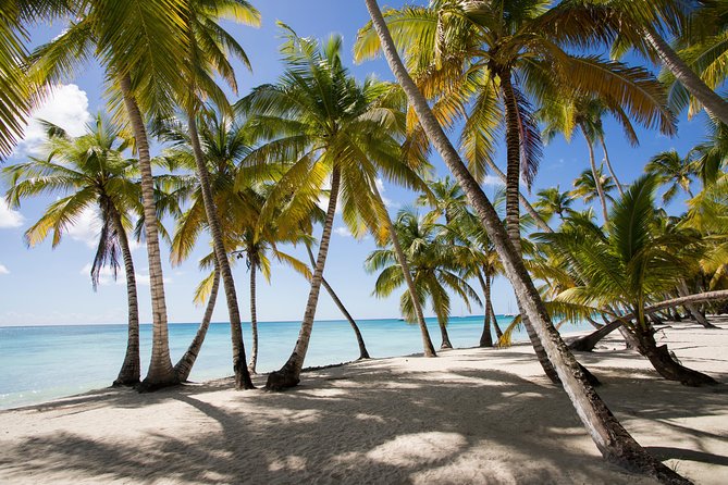 Saona Island Day Trip From Punta Cana with Lunch and Open Bar - Key things to know before you go