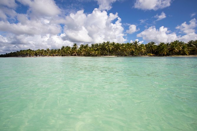 Saona Island Day Trip From Punta Cana with Lunch and Open Bar - Lunch and the open bar: what’s included and how to drink smart