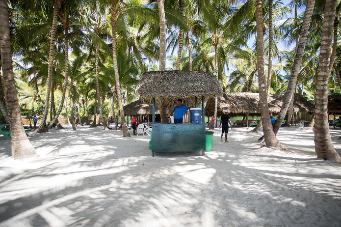 Saona Island Day Trip From Punta Cana with Lunch and Open Bar - Getting back on a catamaran dance party (and why timing can vary)