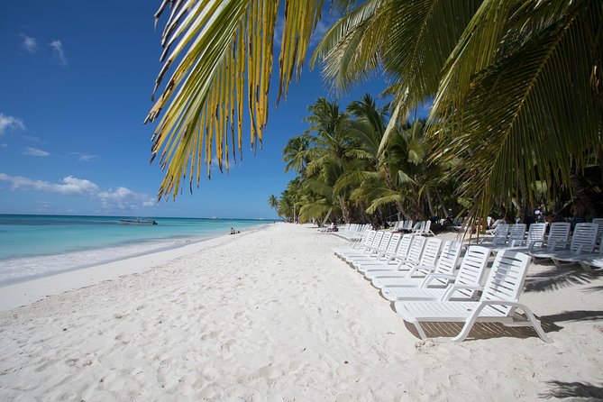 Saona Island Day Trip From Punta Cana with Lunch and Open Bar - Saona Island beach time: what 3 hours really feels like