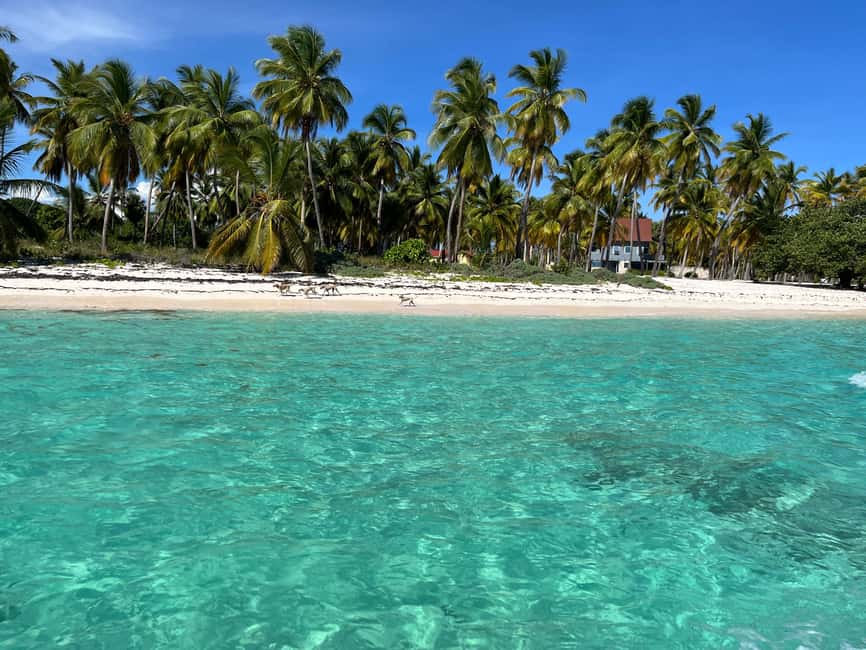 Saona Island: Small Group Virgin Beaches Cruise Day Trip - Key highlights worth betting your day on