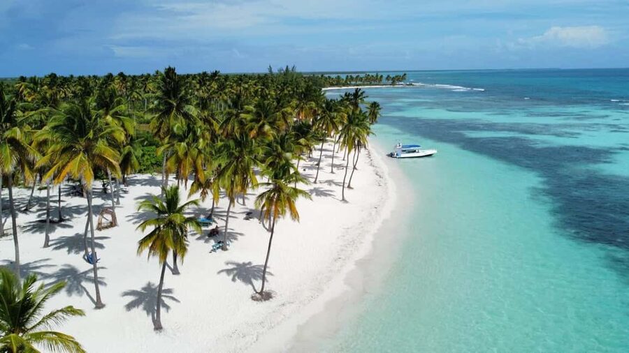 Saona Island: Small Group Virgin Beaches Cruise Day Trip - Dominican beach lunch in Mano Juan: food you’ll remember