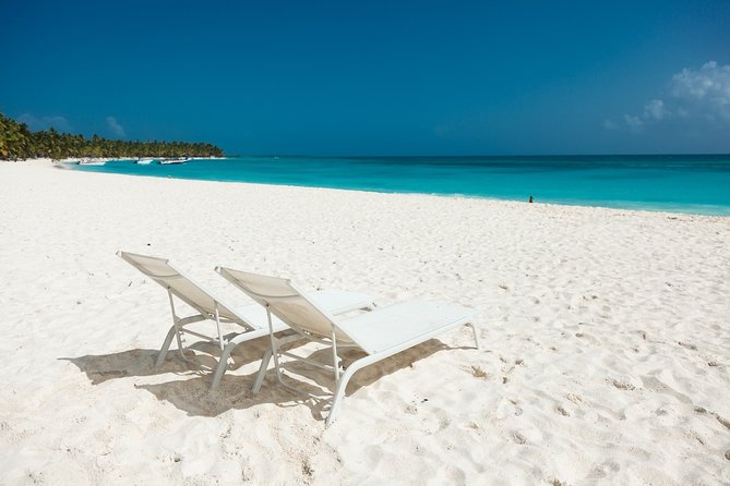Saona Private Full-Day Tour from Punta Cana - Key highlights that make this Saona trip work