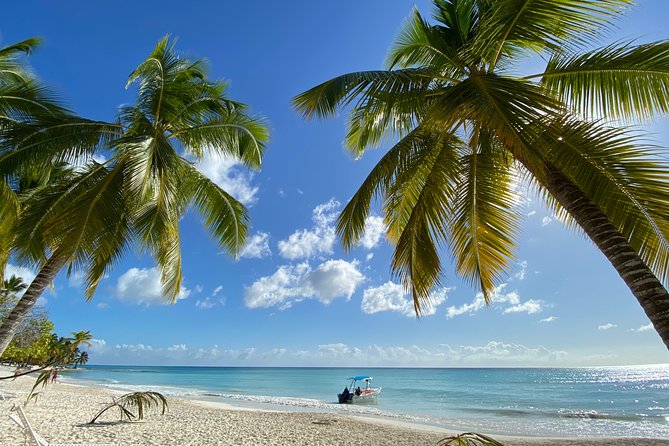 Saona Private Full-Day Tour from Punta Cana - Lunch and an open bar: the included comfort you’ll notice