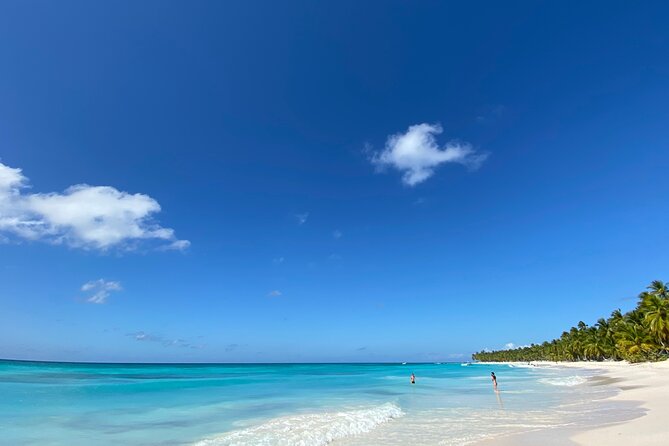 Saona Private Full-Day Tour from Punta Cana - Blue lagoon natural pool stop: starfish, stingrays, and a drink