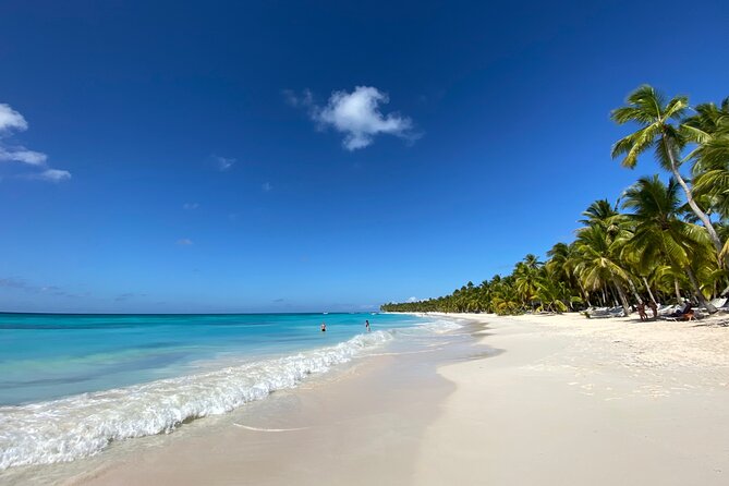 Saona Private Full-Day Tour from Punta Cana - The private format: only your group, for real