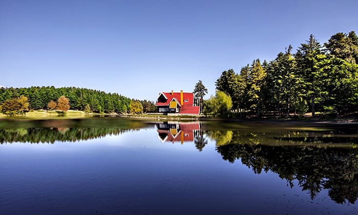 Sapanca Lake and Masukiye Full-Day Tour from Istanbul - Natural Habitat Park and Zoo: A Seasonal Stop That Can Add Time
