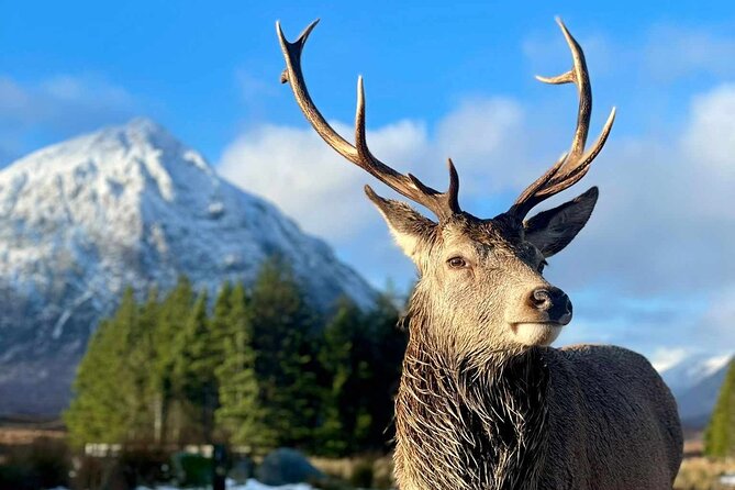 Scottish Highlands, Loch Ness and Glencoe Day Trip from Edinburgh - Glen Coe National Nature Reserve: quick stop, big stories