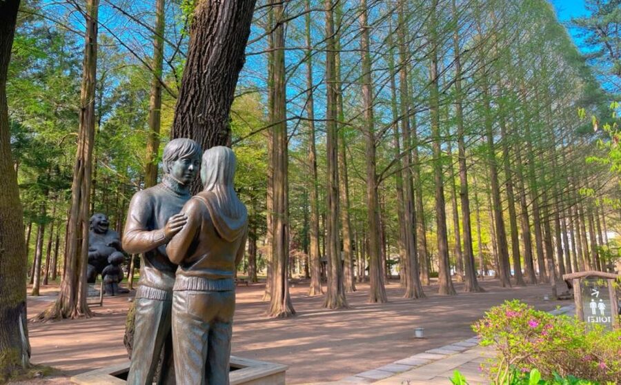 Seoul: Gangwon-do Day Trip with Alpaca World & Nami Island - Nami Island: tree-lined walks and K-drama scenery time