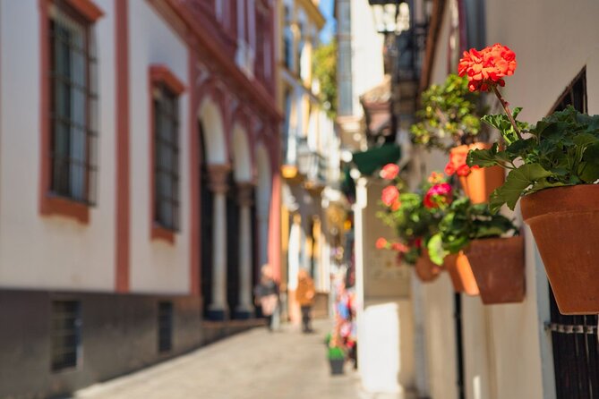Seville Day Trip with Cathedral Entrance from Malaga - Price and Logistics: What $74 Really Buys