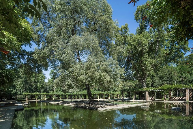 Seville Full Day Trip with Cathedral from Malaga - Free Time in Central Seville: Lunch, Photos, and Your Best Use of It
