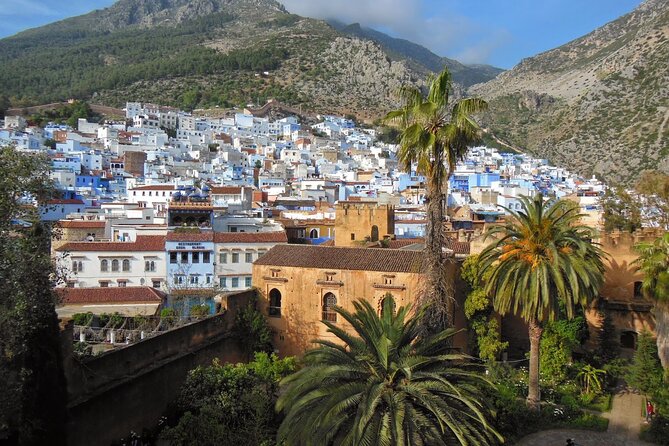 Shared Group Chefchaouen Day Trip from Fez - Grand Mosque Area and the Ethnographic Museum: What You’ll Actually See