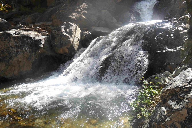 Shared trip : Day trip to Ourika Valley Atlas Mountains - The guide quality can make or break the vibe