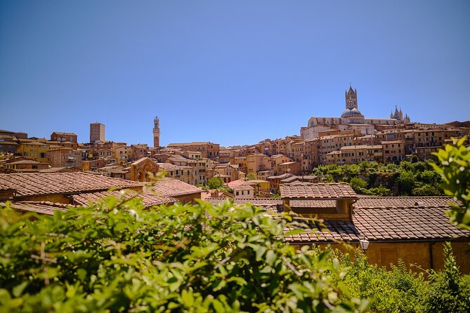 Siena, San Gimignano and Chianti Wines Day Tour from Florence - A Coach-Fueled Taste of Tuscany from Florence