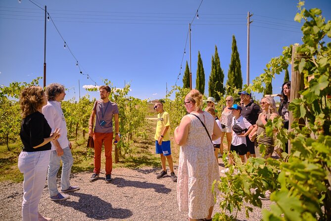 Siena, San Gimignano and Chianti Wines Day Tour from Florence - Monteriggioni: The Small Hilltop Fort That Acts Like a Pause Button