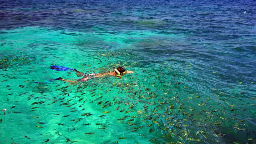 Similan Islands Early-Bird Tour From Phuket and Khao Lak! - Key highlights at a glance