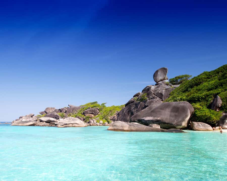 Similan Islands Early-Bird Tour From Phuket and Khao Lak! - Princess Bay nature trail: a beach walk with payoff