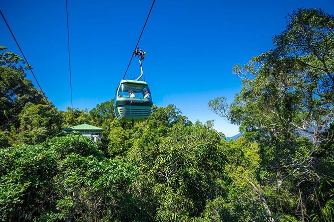 Skyrail Rainforest Cableway Day Trip from Cairns - Key things I’d put on your mental checklist