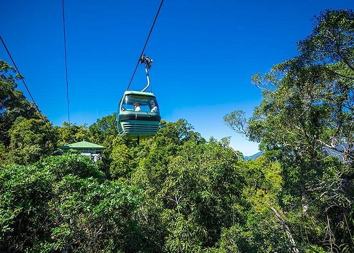Skyrail Rainforest Cableway Day Trip from Cairns - Rainforestation Nature Park upgrade: worth it if you want more than rides