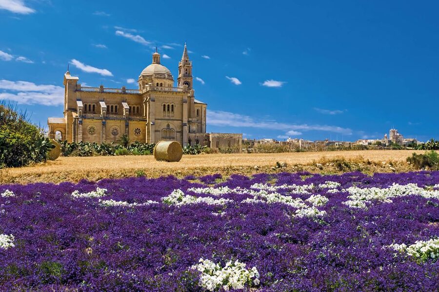 Sliema or St. Paul's Bay: Best of Gozo and Comino Day Trip - Comino Beyond the Blue Lagoon: Hiking and Photo Opportunities
