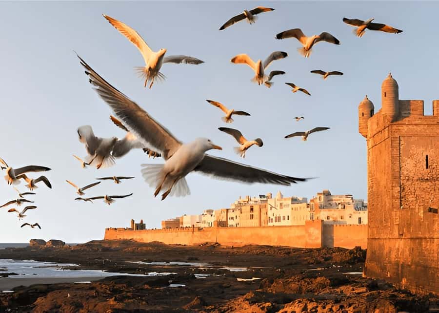 Small-Group Day Trip from Marrakech to Essaouira Mogador - A 10-Hour Rhythm From Marrakech That Actually Works