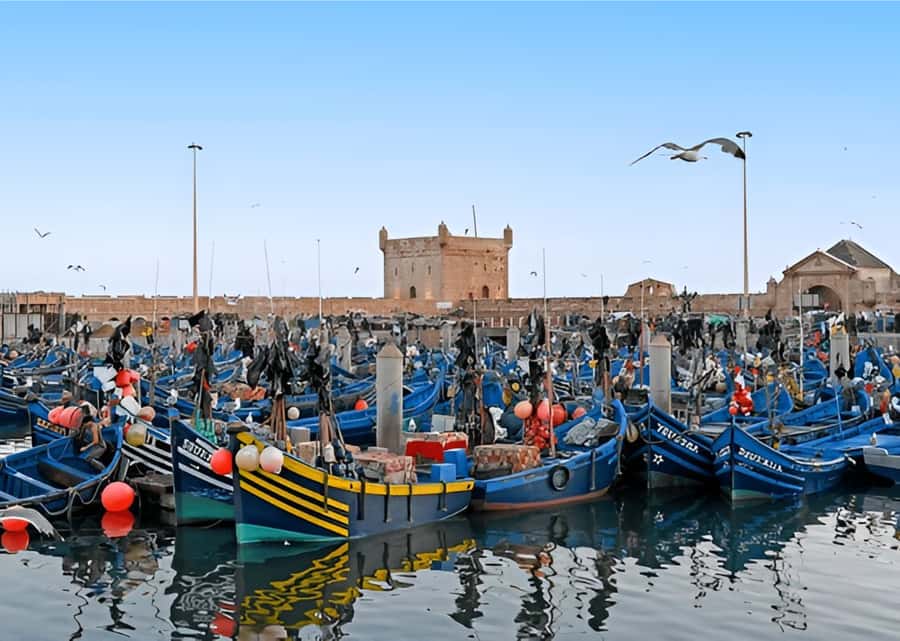 Small-Group Day Trip from Marrakech to Essaouira Mogador - Sidi Mokhtar and Chichaoua Breaks: Use Them Like a Pro