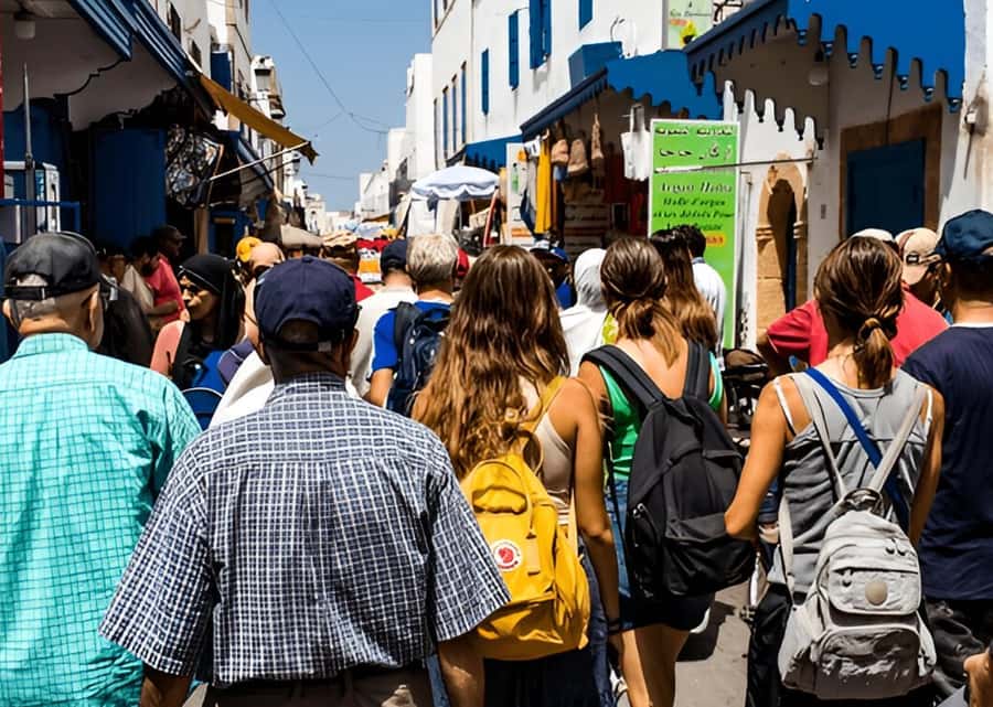 Small-Group Day Trip from Marrakech to Essaouira Mogador - Price and Logistics: Is $12 Good Value?