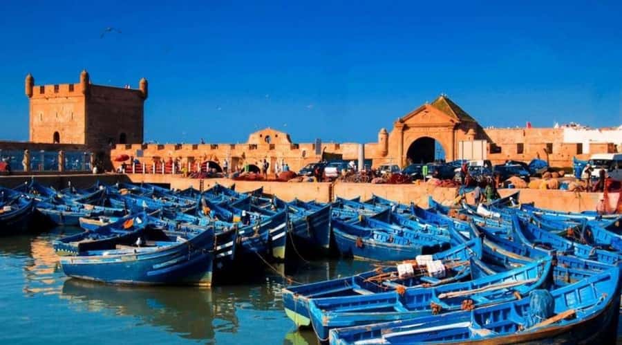 Small-Group Day Trip from Marrakech to Essaouira Mogador - Pickup Timing and Van Ride: Where Most of Your Day Goes