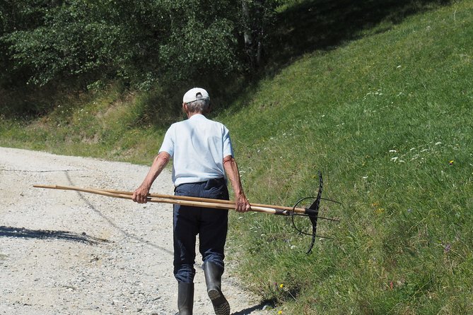 Small-Group Day Trip in Romanian Authentic Mountain Villages from Brasov - The Early Castle Stop: Bran Castle for a Speed Run Through Transylvania Lore